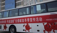 血脉相连　传递温暖