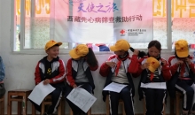 “天使之旅”2025西藏先心病患儿筛查救助行动完成林芝市等地筛查
