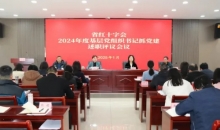湖南省红十字会召开2024年度基层党组织书记抓党建述职评议会议