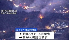 日本突发山林大火 超500人紧急避难