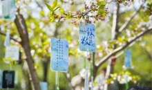 让生命延续希望！2025年浙江省湖州市人体器官捐献缅怀纪念活动在安吉举办